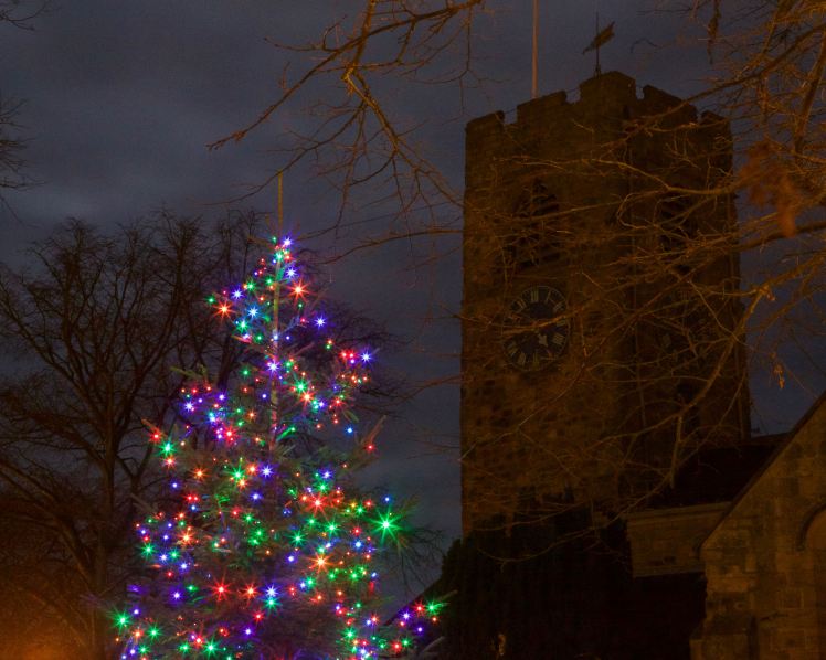 31150456801_a8fcd0ba06_o